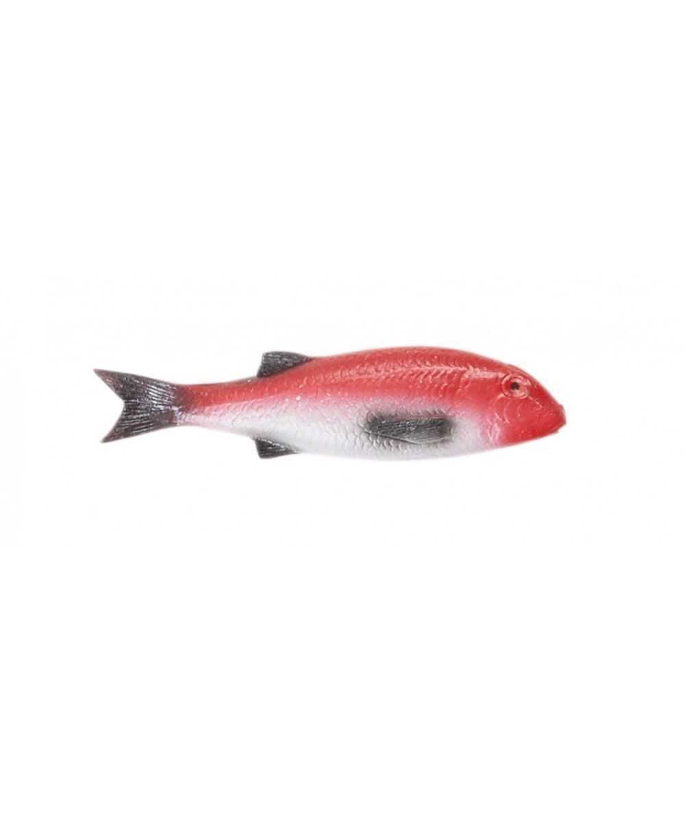 Eb & Vloed Rode Vis