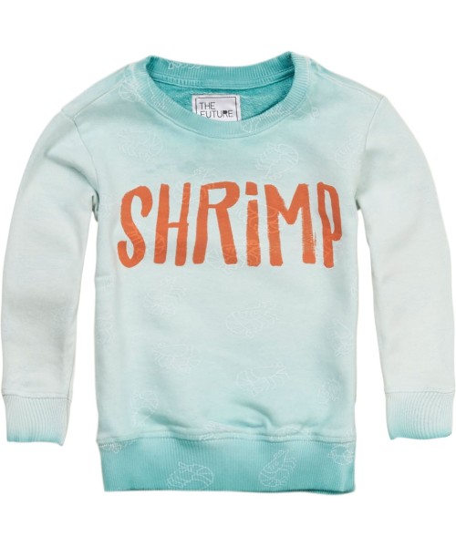 The Future is Ours Shrimp sweat